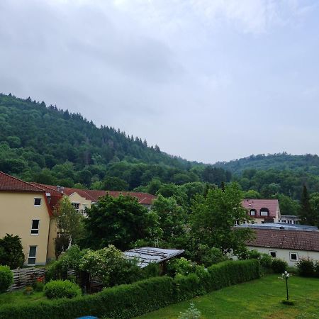 Pension Kreihe Im Harz Бад-Лаутерберг Экстерьер фото